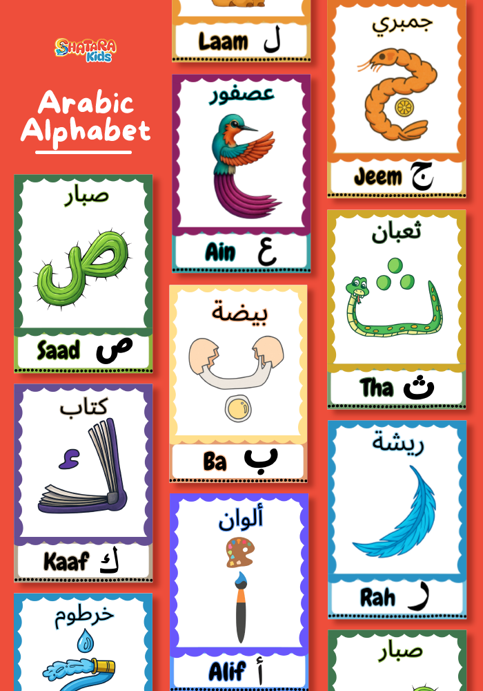 Shatara Flash Fun Cards